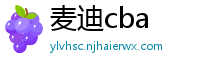 麦迪cba